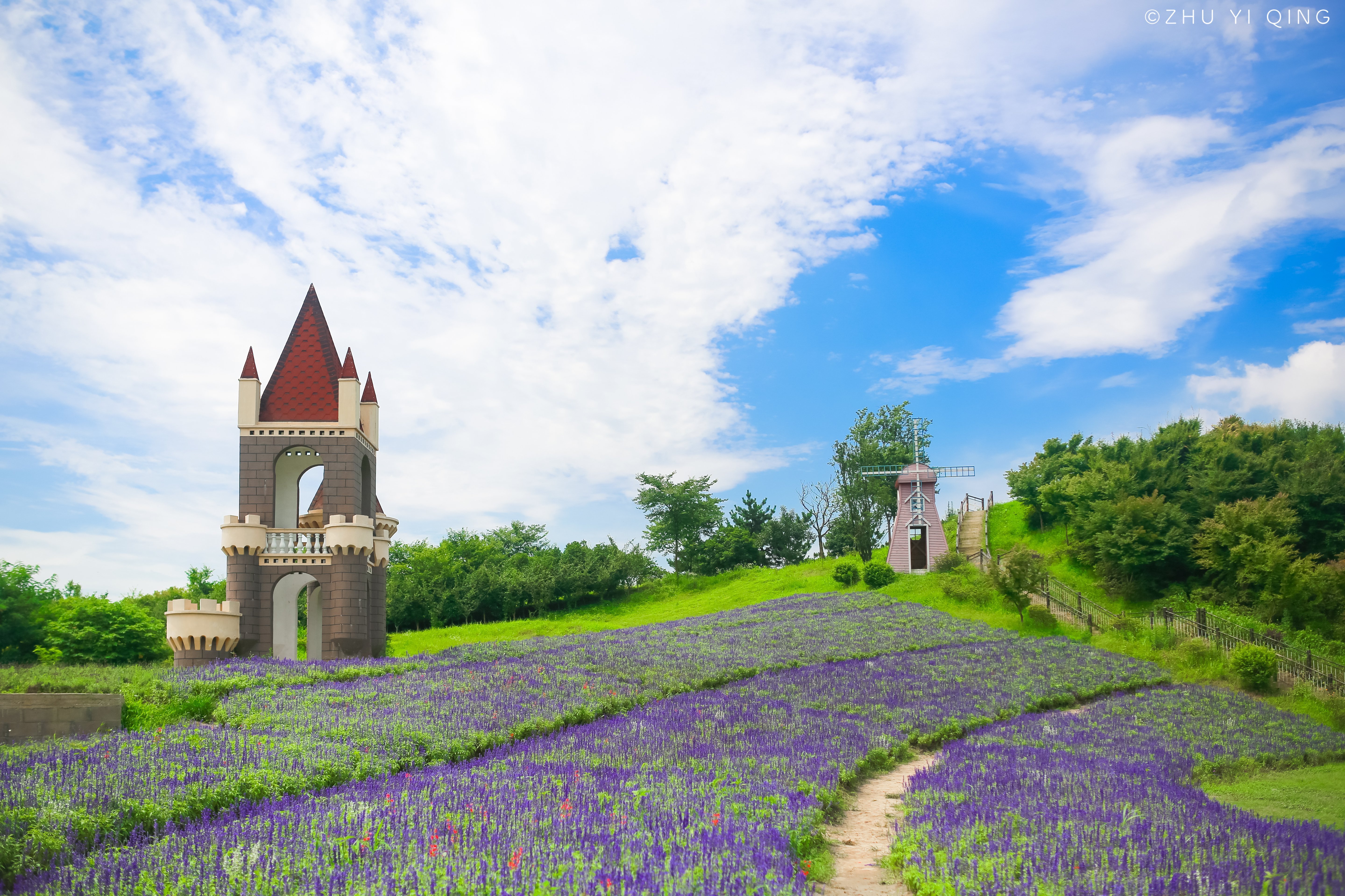 在嘉兴薰衣草的花田里,我们都犯了错