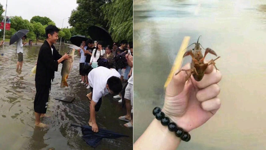 南京暴雨:市民上街摸鱼又摸虾