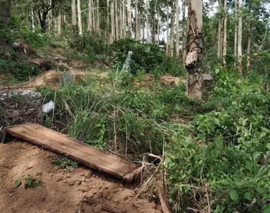 入土安葬后尸体"不翼而飞" 广西这家人竟拜了5年空坟