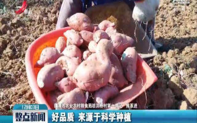 【第一书记晒丰收】余江区洪桥村:熊革进卖红薯 为贫困户增收 【第一书记晒丰收】余江区洪桥村:熊革进卖红薯 为贫困户增收
