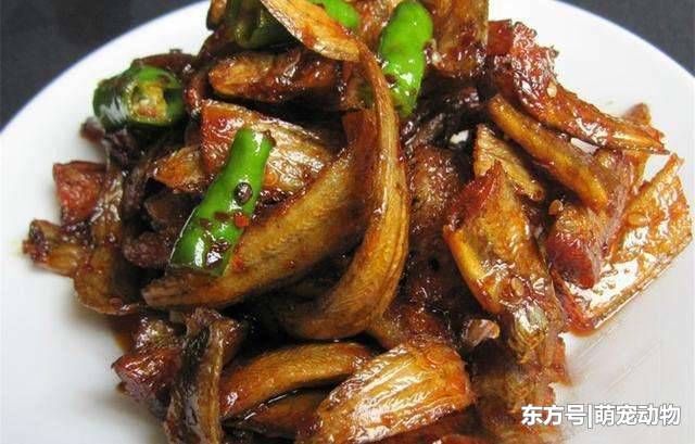 随身带把刀的鱼, 听说有毒不敢吃, 现在百元一