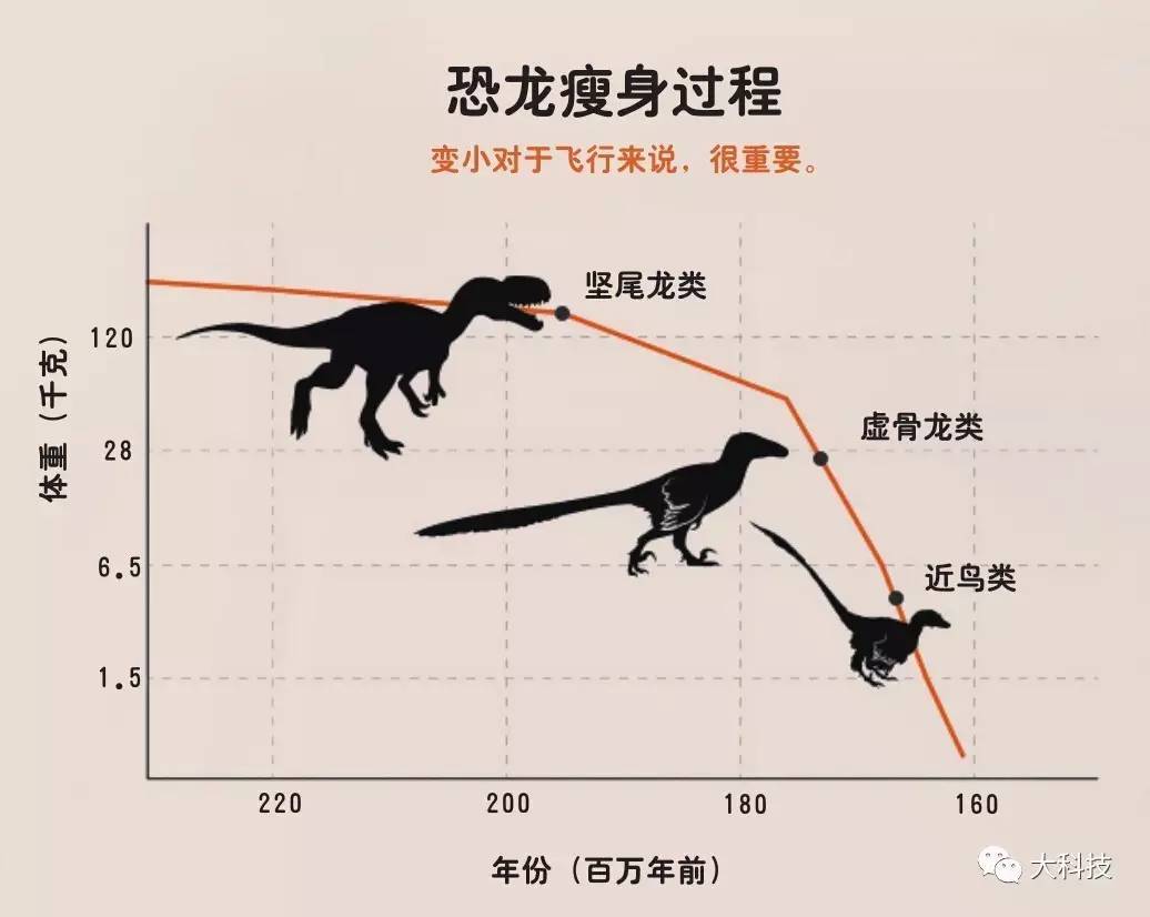 考古发现:恐龙是如何变成鸟的?