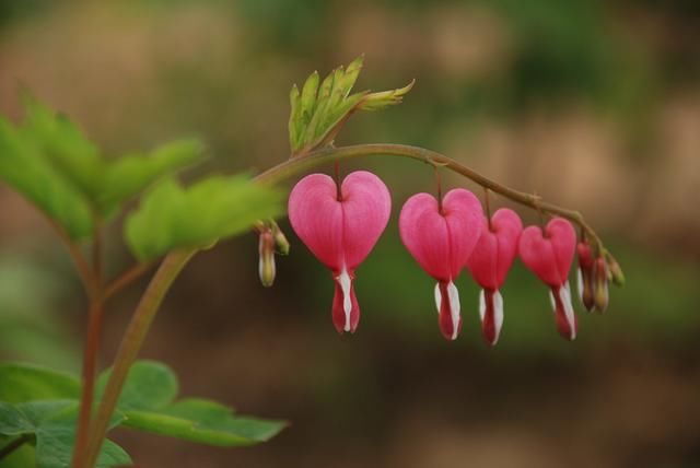 山东在建的这条高铁,将带动4个城市旅游腾飞,