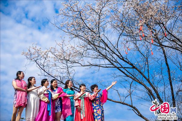 湖南牛田镇:镇域经济发展新引擎打造浪漫福地