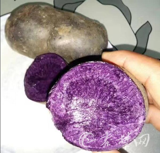 紫土豆的功效与作用图片