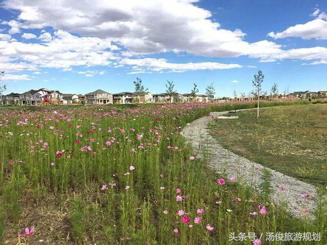 景观设计师:应对气候变化的雨水弹性设计