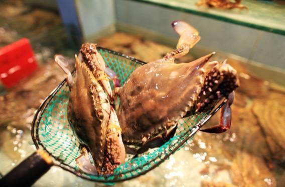 台州温岭松门稀奇古怪的海鲜们~你都认识吗?