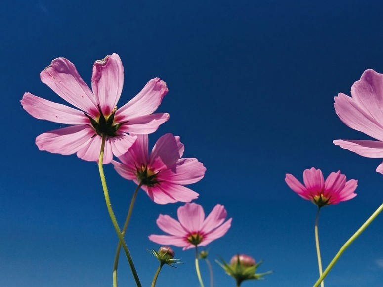 事业单位考试公共基础知识:货币都有哪些种类