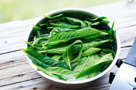 芝麻叶 取芝麻叶子,多少根据自己的情况决定,将这些叶子处理干净,放入