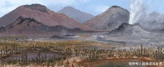 它才是地球上寿命最长的生命, 乌龟的寿命连它