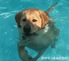 还记得那艘狂奔的美国大豆船吗一个月了,还漂