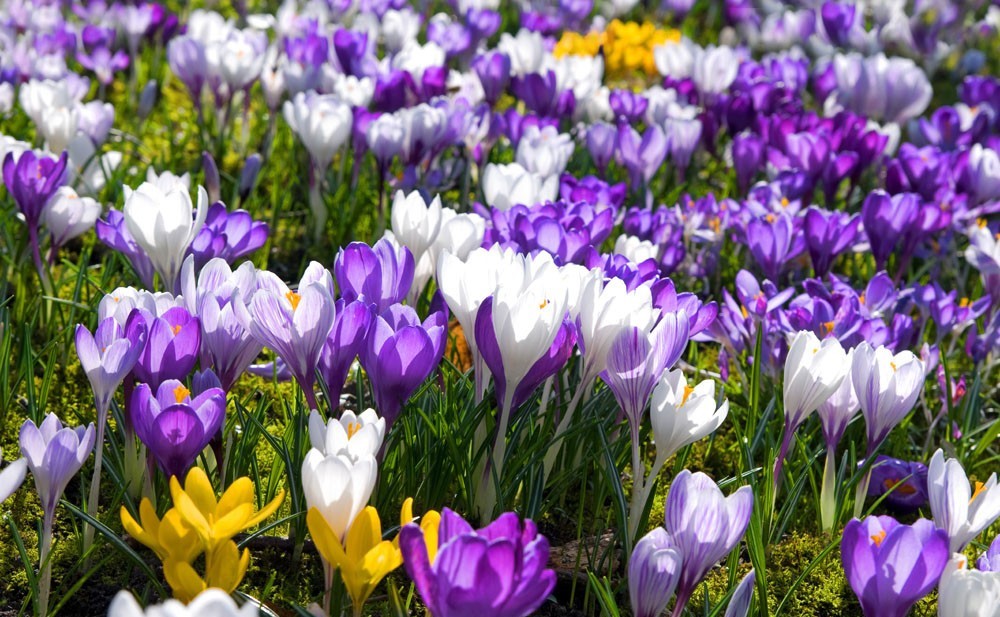 事业单位公共基础知识时政速递:2017年感动中