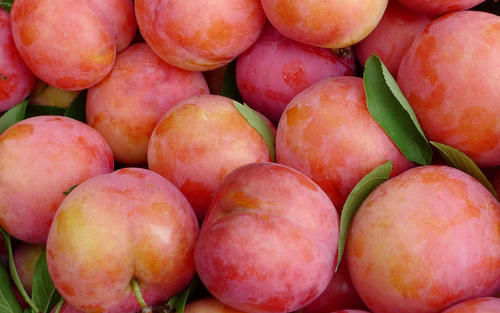 皮肤暗黄气色差,莫慌!晚上当零食吃几颗,皮肤红