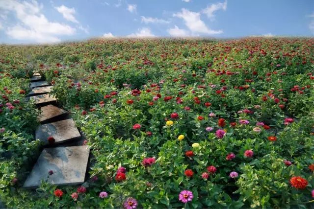 寻找发展新动能 乡村振兴战略成乡镇干部口中