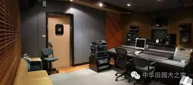 它的出生是人家不要的土狗,但死时主人为它哭