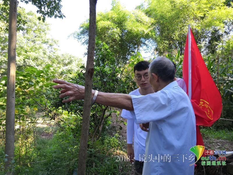 重庆大学生走进綦江:为乡村振兴建言献策