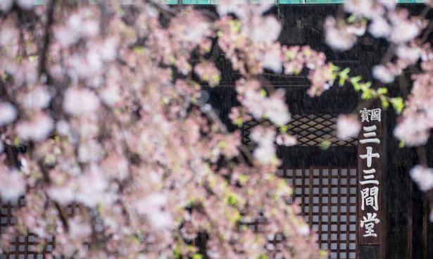 日本一周自由行,路线该怎么选择?大概需要花费