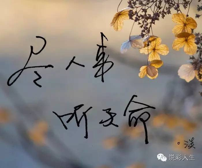 尽人事听天命
