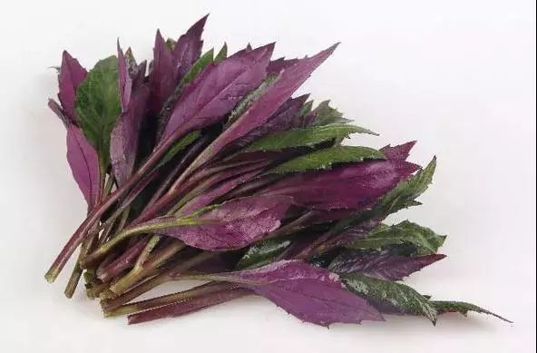 惕】夫妻吃秋葵中毒,双双进了ICU,这些毒菜