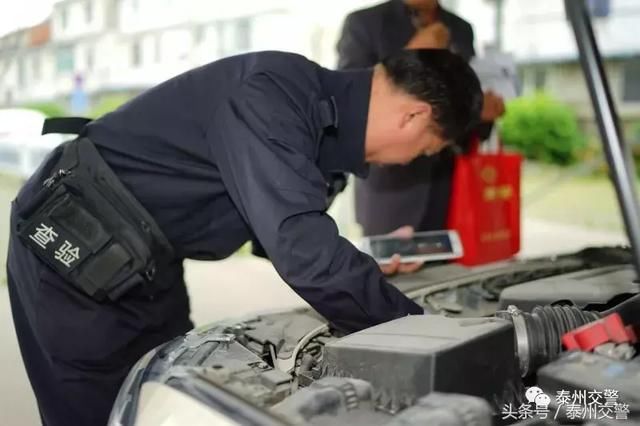 这车牌666|渐变绿!泰州今起全面换发新能源号