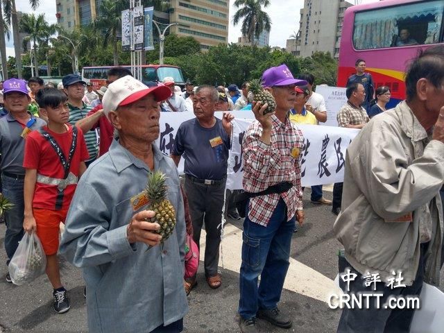 香蕉跌完凤梨跌 蔡英文质问:下一个是哪种水果