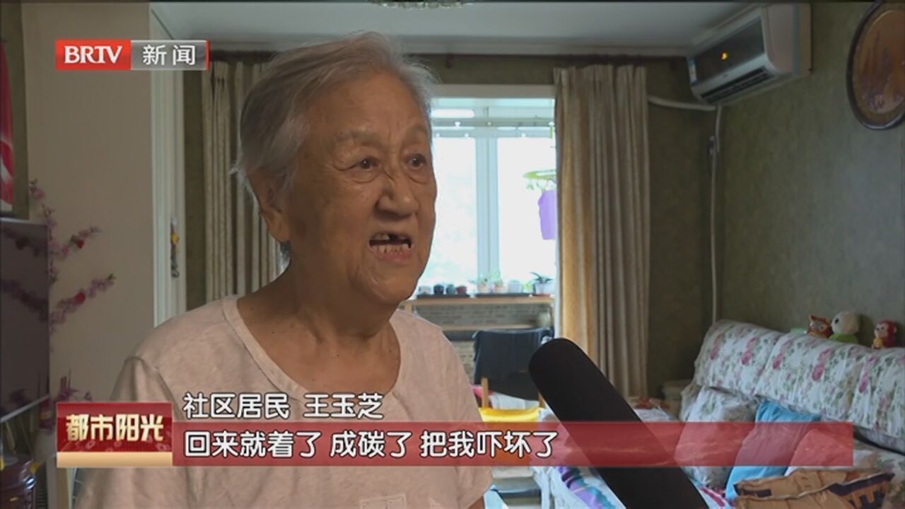 《都市阳光》20231013