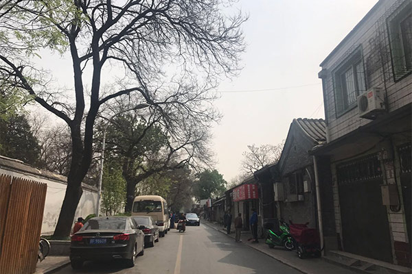 北京市将整治千余条背街小巷 美丽胡同三年回归 北京市将整治千余条背街小巷 美丽胡同三年回归