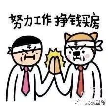 t01aee4051f32e9a786.jpg?size=220x220