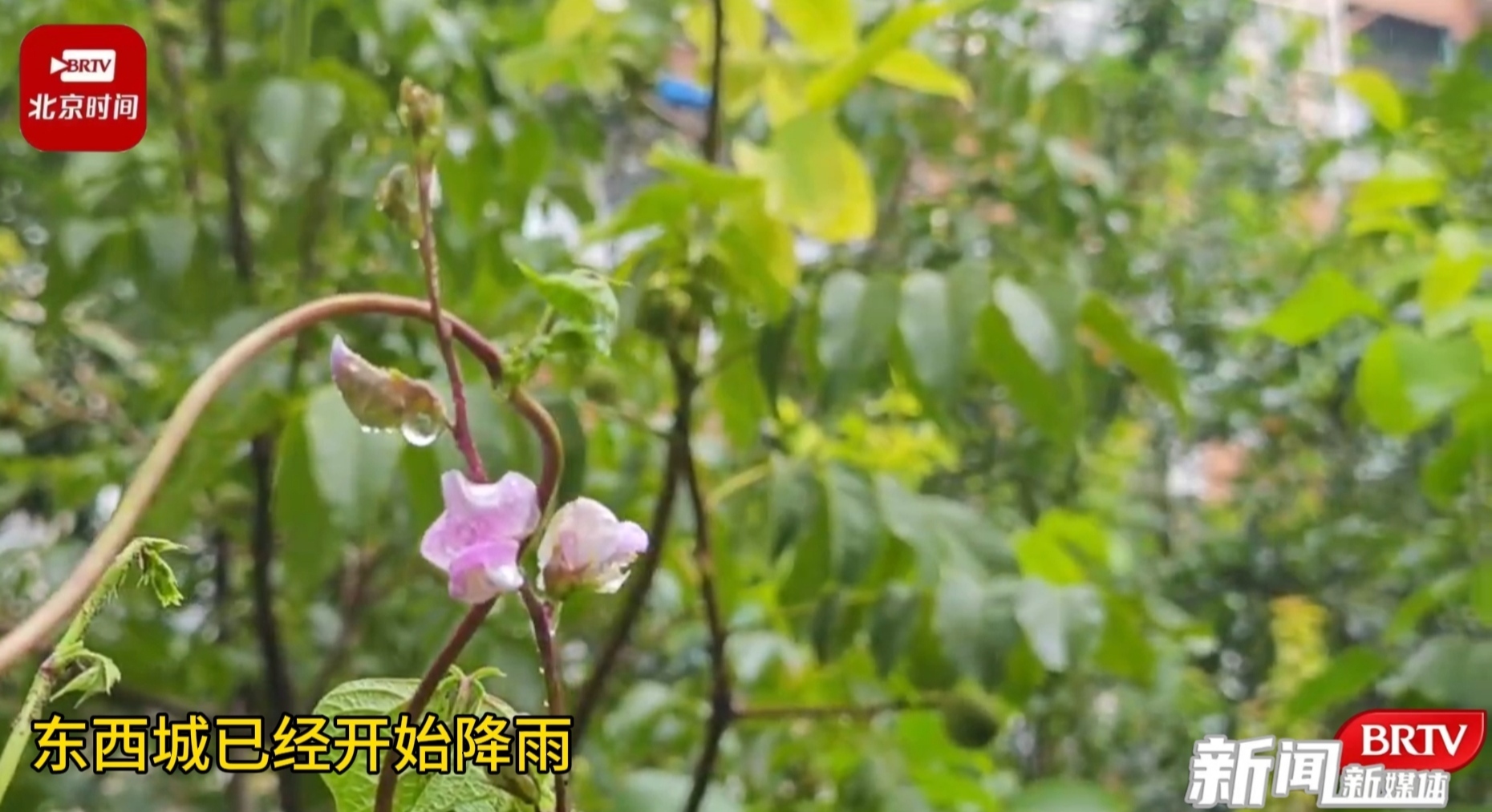 受台风北移影响，北京中心城区开始降雨