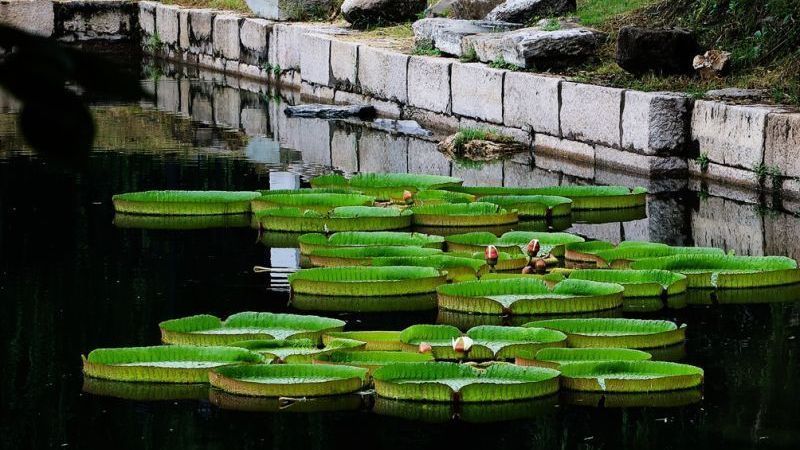 话圆明 | 濂溪乐处 圆明园四十景