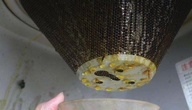 厨房油烟机油腻腻?千万别用布擦,教你一绝招,