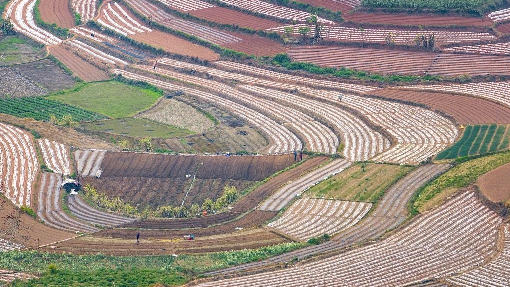 春耕时节，广西南宁市邕宁区蒲庙镇新生村，农民们正在抢抓农时做好春耕备耕，从高空俯瞰，一块块线条优美的田地犹如大地调色板。