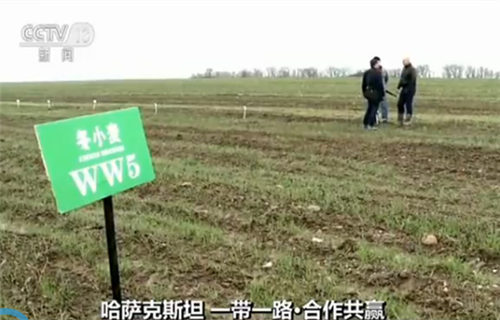 【一带一路·合作共赢】哈萨克斯坦：农业示范区 互补促发展