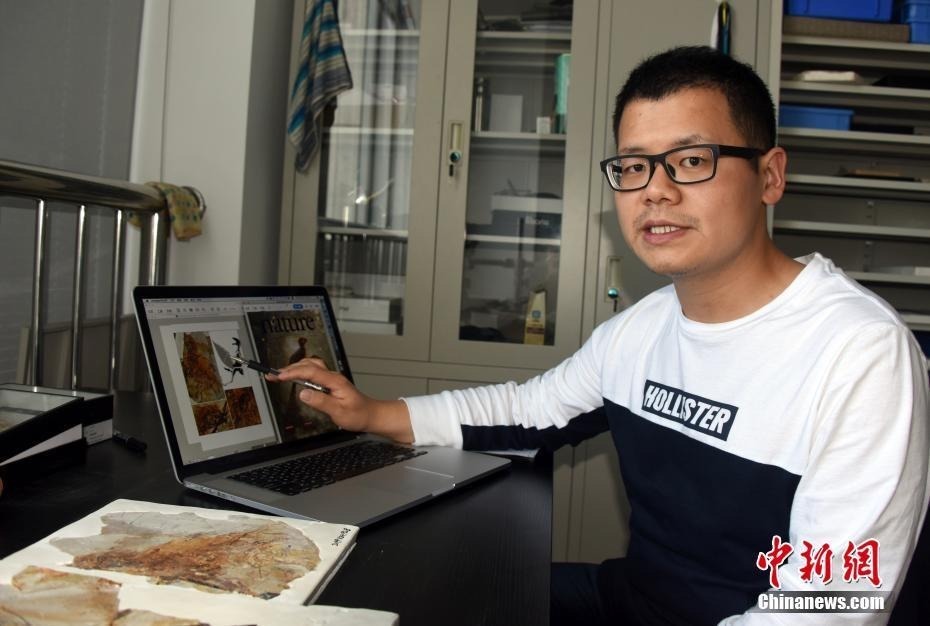 图为中科院古脊椎所王敏研究员介绍“长臂浑元龙”发现及研究进展。