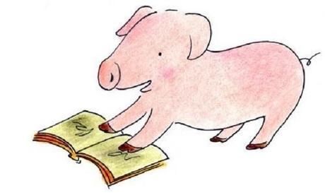 1983年属猪人一生运势如何