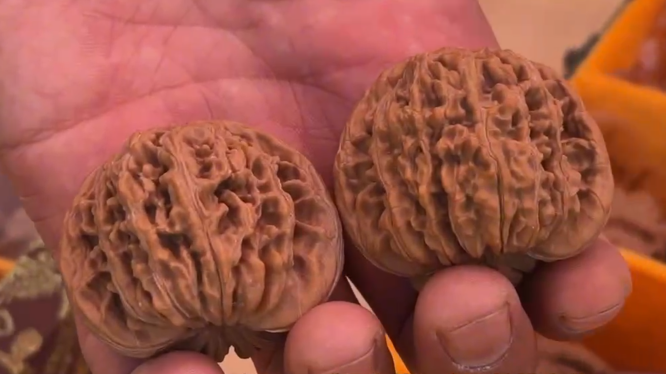 第七届“四座楼”文玩核桃品鉴季启动 熊儿寨邀市民品鉴文玩核桃精品 第七届“四座楼”文玩核桃品鉴季启动 熊儿寨邀市民品鉴文玩核桃精品