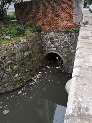 黑臭水体整治行动2018丨曝光台:广东东莞,安徽