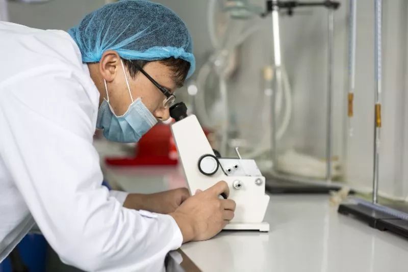 核桃乳没核桃仁 云南核桃乳企业邀你看如何生