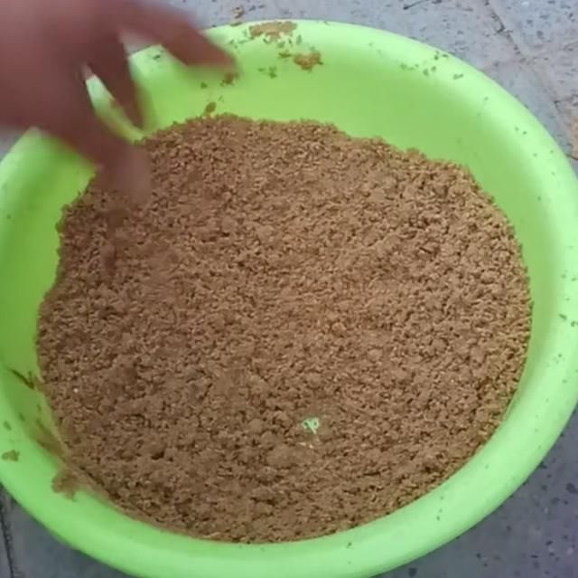 钓鲤鱼用什么饵料最好