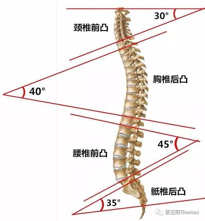 颈椎、腰椎生理曲度变直了怎么办?