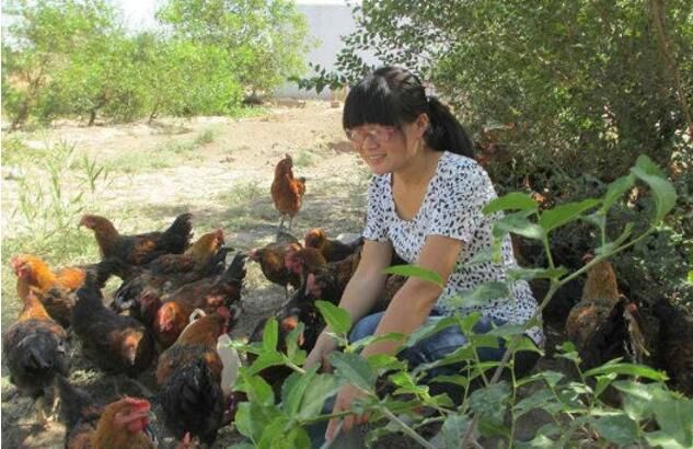 打工女孩凭实力返乡创业,办养鸡场一年毛收入