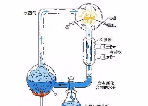 地球上的第一个生命