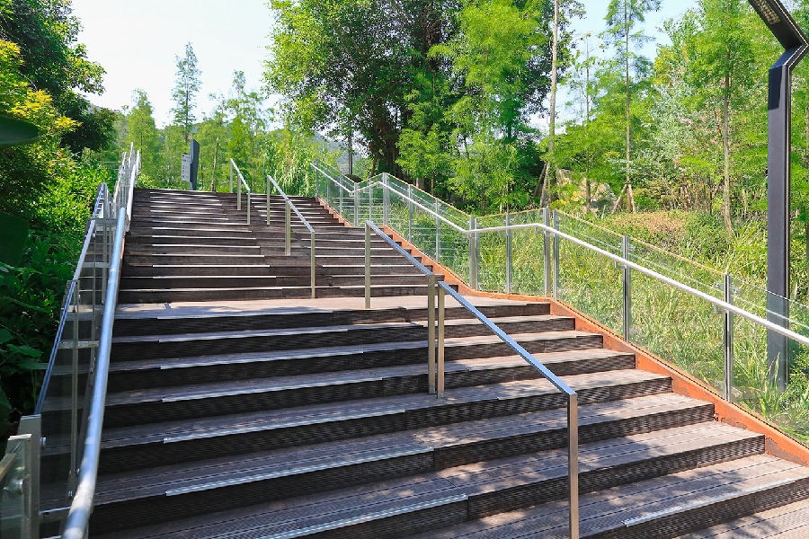 全国最长空中森林步道,敢不敢走两步?