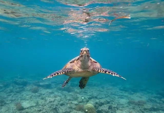 最受欢迎的超冷门海岛:不仅免签 还有最美的海