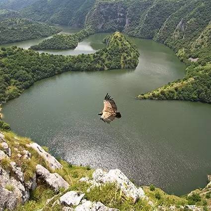 欧洲第一个对中国免签的国家是哪个?塞尔维亚