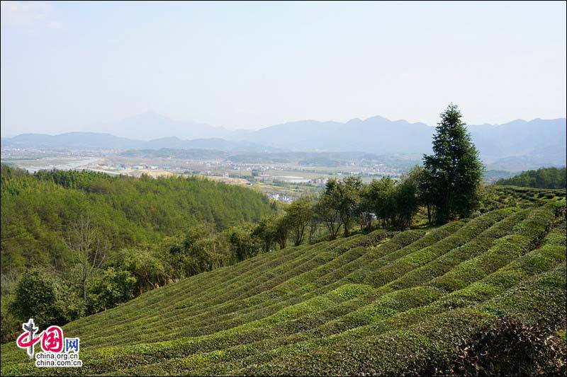 安徽旌德縣路西村旅遊 扶貧 美麗鄉村再升級