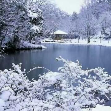 什么是离休?它和退休有什么不同?