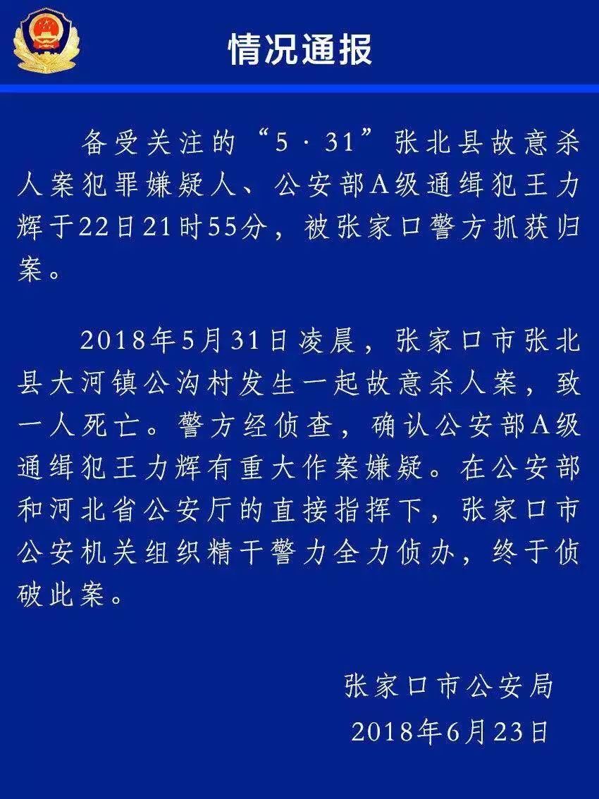 抓到了!抓到了!公安部A级通缉犯王力辉落网!