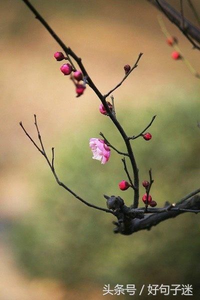 名著中的经典哲理语句,每一句都让人深思!