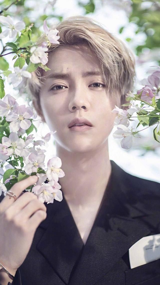 鹿晗吴亦凡迪丽热巴鞠婧祎他们被外国人认为是